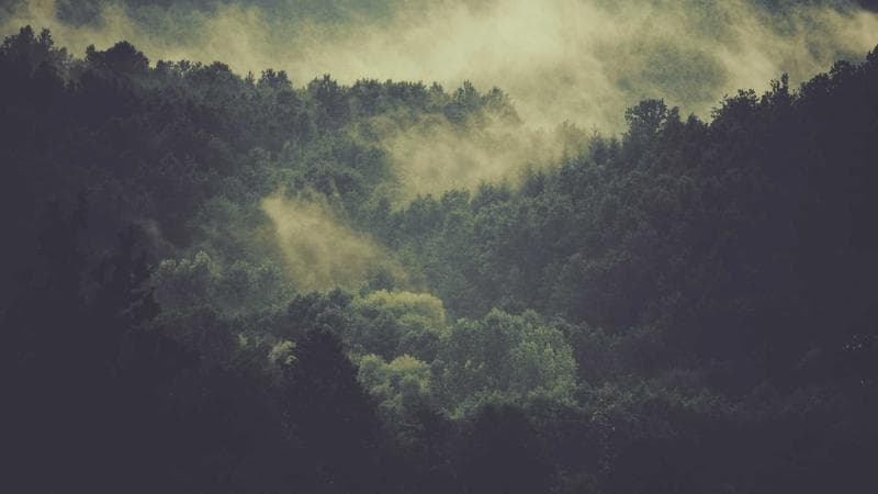 Programa de habitação entrega 200 novas moradias