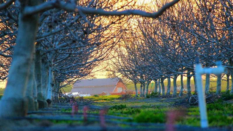 Concurso público oferece 150 vagas em diversas áreas