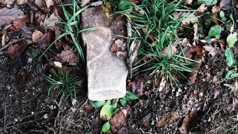 Sistema de monitoramento reduz criminalidade em 30%