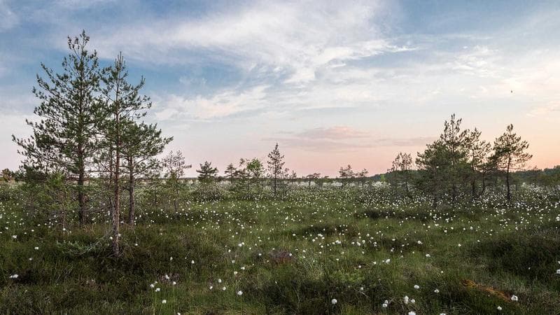 Parceria com universidades traz inovação à gestão pública