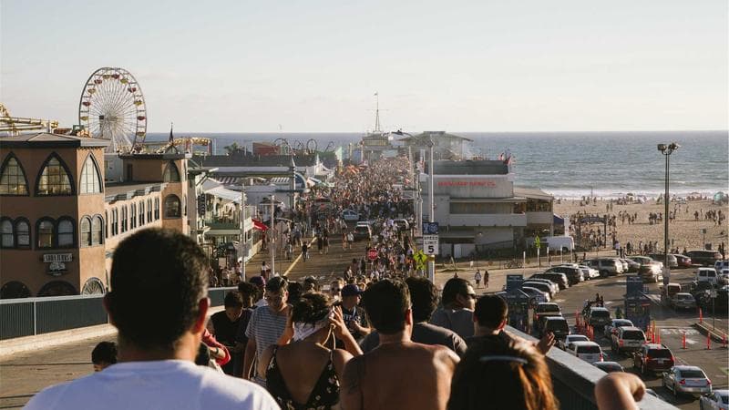Projeto de arborização vai plantar 5 mil árvores na cidade